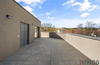 Wohnung kaufen in Bachgasse, 2120 Wolkersdorf im Weinviertel, Dachgeschoss *** 4-Zimmer mit über 140m² Terrasse / Loggia *** Leben im Weinviertel *** Nähe Wolkersdorf und Gerasdorf