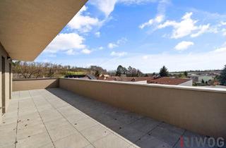 Wohnung kaufen in Bachgasse, 2120 Wolkersdorf im Weinviertel, Luxus-DG im Weinviertel *** rund 140m² Terrasse / Loggia *** Nähe Wolkersdorf und Gerasdorf