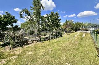 Einfamilienhaus kaufen in 2241 Schönkirchen-Reyersdorf, Einfamilienhaus in Schönkirchen-Reyersdorf: Neuer Preis 230.000€, Baugrund – Ihr neues Zuhause!