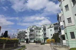 Wohnung kaufen in 2435 Ebergassing, + Traumhafte Fernblickdachterrassenwohnung 80m² + Dachterrasse 5,62 m² + Klimaanlage, moderne Dan-Küche + 4 lichtdurchflutete Zimmer + €219.000 + Tiefgaragenplatz + KOFFER PACKEN UND EINZIEHEN +