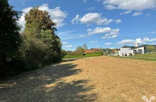 Grundstück zu kaufen in 8504 Preding, Sonniges Baugrundstück in Wieselsdorf