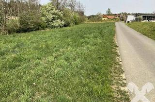 Grundstück zu kaufen in 8504 Preding, Sonniges Baugrundstück in Wieselsdorf