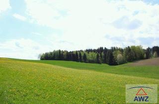 Grundstück zu kaufen in 5272 Untertreubach, Schöner leistbarer Baugrund mit Grünland!