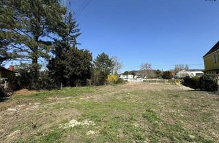 Grundstück zu kaufen in 2103 Langenzersdorf, Exklusives Baugrundstück in ruhiger Traumlage in Langenzersdorf