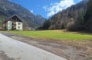 Grundstück zu kaufen in 8632 Gußwerk, Einzigartiges Traumgrundstück in absoluter Ruhelage angrenzend am Wald - nahe Mariazell