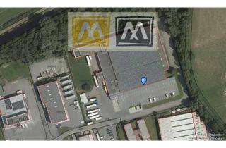 Büro zu mieten in Industriestraße, 6812 Meiningen, Logistikstandort mit Zukunft: Lagerhalle mit Rangierfläche in Meiningen zu vermieten