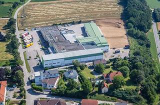 Büro zu mieten in 3361 Aschbach-Dorf, Logistik/Self storage - 700 m² Mietflächen in zentraler Lage
