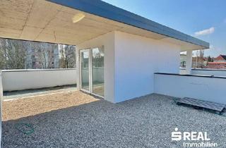 Reihenhaus kaufen in 4030 Linz, Achtung Preisänderung! - Charmantes Mittelreihenhaus in Linz: 148 m² inkl. Keller und großer Dachterrasse!