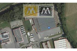 Gewerbeimmobilie mieten in 6812 Meiningen, Logistikstandort mit Zukunft: Lagerhalle mit Rangierfläche in Meiningen zu vermieten