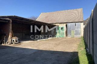 Bauernhäuser zu kaufen in 2143 Ginzersdorf, Großes Grundstück / 2.770m² mit einem Abrisshaus und einem Bauernhaus