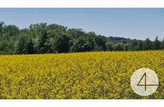 Grundstück zu kaufen in 4770 Andorf, Ackerflächen 5,14 ha Nähe Andorf