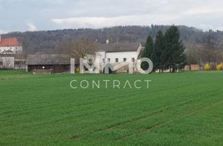 Haus kaufen in Hauptstraße, 3384 Groß Sierning, Ehemaliger Mühlhof mit Landwirtschaft!