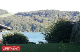 Grundstück zu kaufen in 5163 Mattsee, Seltenheit - Grundstück am Mattsee, kein Bauland