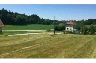 Grundstück zu kaufen in Sighartinger Strasse NB, 4776 Diersbach, Baugrundstück ohne Bauzwang