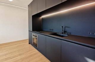 Loft mieten in Grenadiergasse 12, 8020 Graz, Designer-Loft mit exklusiver Ausstattung | fantastischer Ausblick | Sonnenterrasse | ab sofort