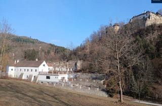 Einfamilienhaus kaufen in 3622 Mühldorf, Kloster Ranna in der Wachau: Historisches Juwel mit einzigartiger Atmosphäre und vielfältigen Nutzungsmöglichkeiten