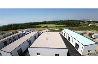 Gewerbeimmobilie kaufen in 2601 Sollenau, Vermietete Anlegerhalle.