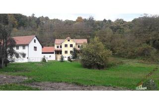 Gewerbeimmobilie kaufen in 2833 Michelbach, Bauernhaus Ferienwohnsitz mit Grünland - PREIS REDUZIERT