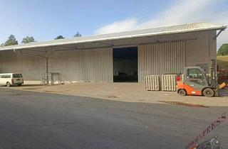 Gewerbeimmobilie mieten in 2295 Oberweiden, Vermietung Lagerhalle Nähe Gänserndorf in Oberweiden