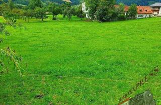 Grundstück zu kaufen in 8643 Allerheiligen im Mürztal, Bauträger und Investoren aufgepasst - 5.000 m² Baugrund