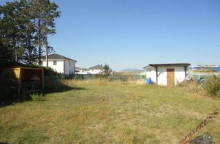 Grundstück zu kaufen in 2604 Theresienfeld, Ebenes Baugrundstück in Theresienfeld wartet auf Sie! - nahe Bahnhof