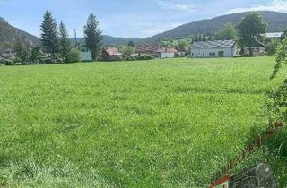 Grundstück zu kaufen in 2734 Puchberg am Schneeberg, Bauträger und Investoren aufgepasst - 12.700 m² in Puchberg am Schneeberg