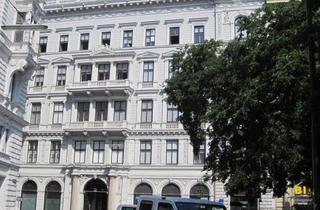 Gewerbeimmobilie mieten in Rudolfsplatz, 1010 Wien, Rudolfsplatz 13a, 1010 WIEN