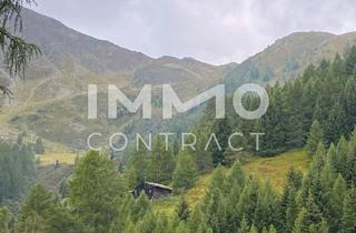 Immobilie kaufen in 9981 Winkl, Waldparzellen am Fuße des Großglockners