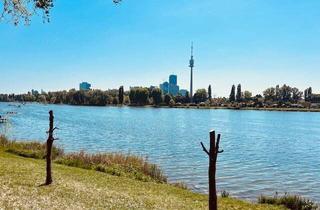 Wohnung kaufen in 1210 Wien, Dachgeschoss mit Blick zur Alten Donau