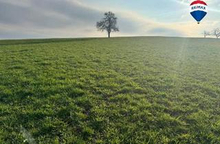 Grundstück zu kaufen in 4730 Waizenkirchen, Landwirtschaftliche Nutzfläche/Ackerfläche nahe Waizenkirchen/Stroheim