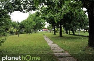 Haus kaufen in 7053 Hornstein, Ist es auch Ihr Traum, eigenes Obst und Gemüse zu ernten?