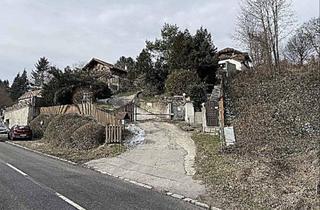 Grundstück zu kaufen in 3413 Hintersdorf, Baugrundstück