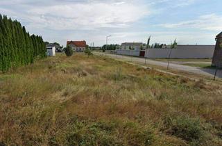 Grundstück zu kaufen in 7162 Tadten, +BAUTRÄGER AUFGEPASST+ Tadten-Chance: 588 m² für nur 130.000 Euro mit Studie für 3 Einheiten!
