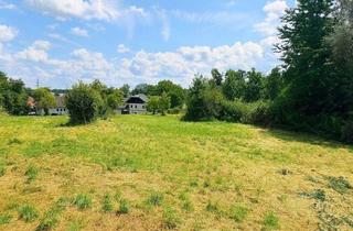 Grundstück zu kaufen in 4675 Weibern, Neuer Preis! - Wilder Charme - ein sonniges Grundstück voller Potential!