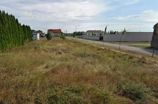 Grundstück zu kaufen in 7162 Tadten, +BAUTRÄGER AUFGEPASST+ Tadten-Chance: 588 m² für nur 130.000 Euro mit Studie für 3 Einheiten!