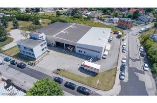 Immobilie kaufen in 2700 Wiener Neustadt, Top Investition: Modernes Betriebsobjekt in Wiener Neustadt