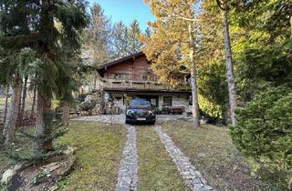 Einfamilienhaus kaufen in 2571 Altenmarkt an der Triesting, Kleines Juwel in Niederösterreich - Blockhaus mit Fischteich