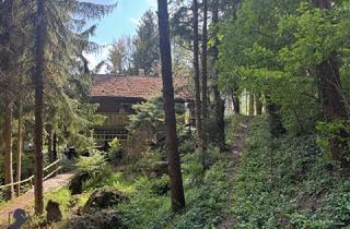 Einfamilienhaus kaufen in 2571 Altenmarkt an der Triesting, Kleines Juwel in Niederösterreich - Blockhaus mit Fischteich