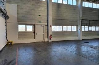 Immobilie mieten in 7011 Siegendorf, Zur Vermietung gelangt eine Lagerhalle mit einer Gesamtfläche von ca. 805 m² in Siegendorf nahe Eisenstadt - Sopron