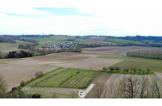 Gewerbeimmobilie kaufen in 4072 Straßham, Acker mit 1,8 ha zu verkaufen!