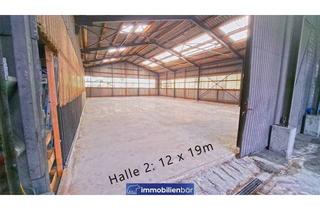 Büro zu mieten in Willing, 4755 Zell an der Pram, günstige Lagerhalle in Zell an der Pram - ca. 234m² - Halle 2