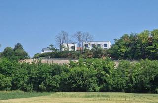 Einfamilienhaus kaufen in 3463 Starnwörth, HERRLICHER AUSBLICK AN DER WAGRAMKANTE: MODERN, MASSIV & HOCHWERTIG WOHNEN IN DER WEINREGION MIT BESTER INFRASTRUKTUR
