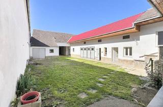 Bauernhäuser zu kaufen in Göllersdorf, 2013 Viendorf, Bauernhaus mit Stadel und viel Grund