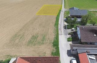 Grundstück zu kaufen in 3313 Igelschwang, Baugrundstück 747 m2 (aufgeschlossen) in 3313 Wallsee - Igelschwang, Widmung: BA