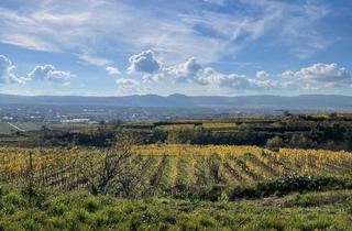 Grundstück zu kaufen in 3500 Krems an der Donau, WEINGARTEN IN AUSSICHTSLAGE - WEINGARTEN, LANDWIRTSCHAFTLICHE FLÄCHEN - KEIN BAUGRUNDSTÜCK!
