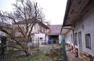 Mehrfamilienhaus kaufen in 2041 Wullersdorf, Mehrfamilienhaus auf einem großem Grundstück