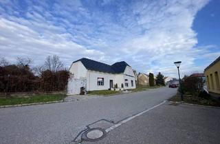 Einfamilienhaus kaufen in 2261 Angern an der March, "Sanieren, gestallten, wohnen - alles ist möglich!"