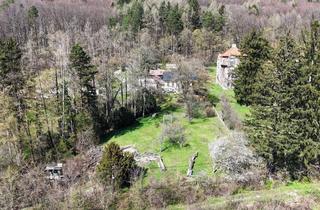 Grundstück zu kaufen in 3011 Purkersdorf, Teilbar! Riesiges Grundstück mit Altbestand in traumhafter Südlage am Sagberg