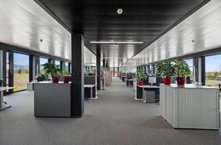 Büro zu mieten in Im Schlatt, 6845 Hohenems, Ihr neuer Business-Standort in Vorarlberg: Hochwertige Büroflächen mit exzellenter Infrastruktur
