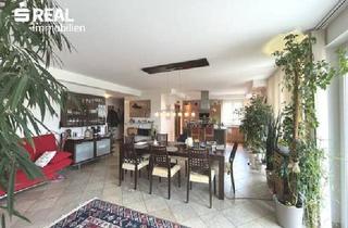 Haus kaufen in 3392 Schönbühel an der Donau, modernes Zweifamilienhaus mit großem Raumangebot in der Wachau